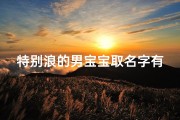 特别浪的男宝宝取名字有哪些,《特别浪萌男宝宝，创意取名大集合》