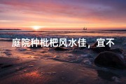 庭院种枇杷风水佳，宜不宜？