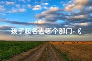 孩子起名去哪个部门-《小孩起名：如何挑选好听的昵称》