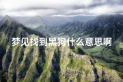 梦见找到黑狗什么意思啊(梦见找大黑狗)
