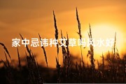家中忌讳种艾草吗风水好吗;家中忌讳种艾草？风水到底好不好？