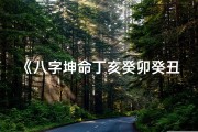 《八字坤命丁亥癸卯癸丑癸亥：命运轮回之谜》