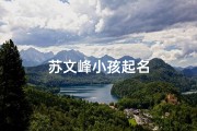 苏文峰小孩起名