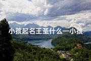 小孩起名王圣什么—小孩起名王圣什么意思