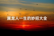 属龙人一生的妙招大全