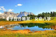 《子丑合稀泥：女命八字中的和谐之谜》