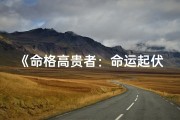 《命格高贵者：命运起伏之谜》