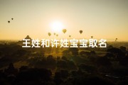王姓和许姓宝宝取名