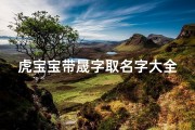 虎宝宝带晟字取名字大全(阴历九月初六出生的男孩属火取名高分名字建议)
