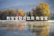 狗宝宝取名宜用_狗宝宝取名佑，寓意吉祥如意
