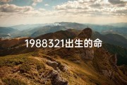 1988321出生的命格,19880812什么命人