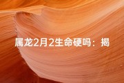 属龙2月2生命硬吗：揭秘生肖龙命运之谜