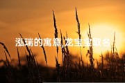 泓瑞的寓意,龙宝宝取名泓瑞，寓意深远，瑞气盈门