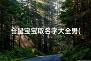 仓鼠宝宝取名字大全男(松鼠叫什么名字好听)