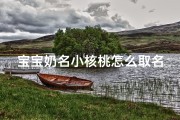 宝宝奶名小核桃怎么取名