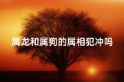 属龙和属狗的属相犯冲吗、属龙与属狗犯冲：命运相克还是相生？