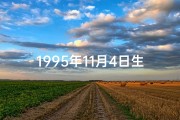 1995年11月4日生辰八字,1995年11月4日命格：命运转折点揭秘