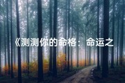 《测测你的命格：命运之轮为你转动》