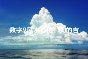 数字9风水揭秘：狗的吉祥物竟是它？