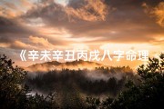 《辛未辛丑丙戌八字命理：揭秘命运之谜》