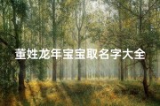 董姓龙年宝宝取名字大全(姓董男孩的独特名字)