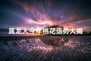 属龙人今年桃花运势大揭秘：爱情降临在即？