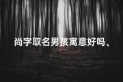 尚字取名男孩寓意好吗、《尚字风采，男宝宝取名大全精选》