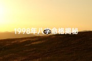 1998年八字命格揭秘：运势详解与人生启示