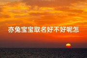 亦兔宝宝取名好不好呢怎么读,亦兔宝宝取名好不好？怎么读？
