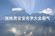 张姓男宝宝名字大全霸气