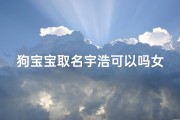 狗宝宝取名宇浩可以吗女孩;狗宝宝取名宇浩：寓意无限，浩瀚如星