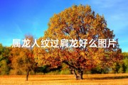 属龙人纹过肩龙好么图片(属龙人纹肩龙：龙腾盛世，风采独领)