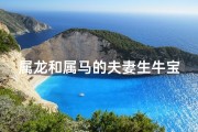 属龙和属马的夫妻生牛宝宝—属龙和属马的夫妻生牛宝宝好吗