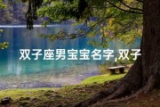 双子座男宝宝名字,双子宝宝降临，灵动女孩闪耀新生光彩