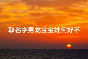 取名字男龙宝宝姓何好不好