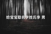 给宝宝取名字姓氏李 男孩_孩子起名姓李男孩