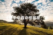 《甲午辛酉命格揭秘：命运如何？》