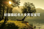 给猫猫起名大全男宝宝可爱(给猫起名字大全)
