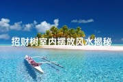 招财树室内摆放风水揭秘：真的能旺财吗？