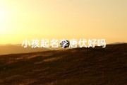 小孩起名李唐伏好吗