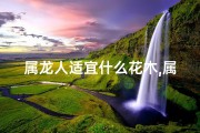 属龙人适宜什么花木,属龙人吉祥花木推荐：养什么植物最旺运