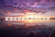 家庭盆景能养活吗风水好吗