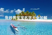 张姓男宝宝名字大全加解释
