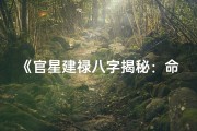 《官星建禄八字揭秘：命运轨迹全解析》