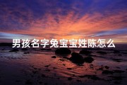 男孩名字兔宝宝姓陈怎么起、《陈兔宝宝：一个独特男孩名字的故事》
