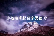 小孩姓柳起名字男孩;小孩姓柳起名字男孩怎么取