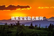 搞笑宝宝取名案例