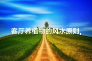 客厅养植物的风水原则,室内植物风水宜忌：客厅摆放指南