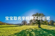 宝宝取名宇桐好不好听呢-宇桐这个名字好吗