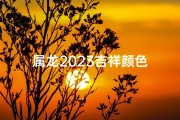 属龙2023吉祥颜色